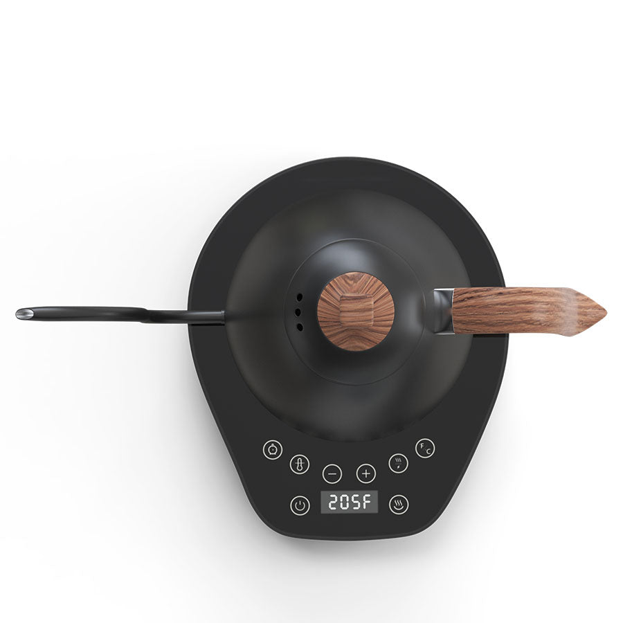 Brewista Wasserkocher Artisan Gooseneck Kettle - Matt-Schwarz