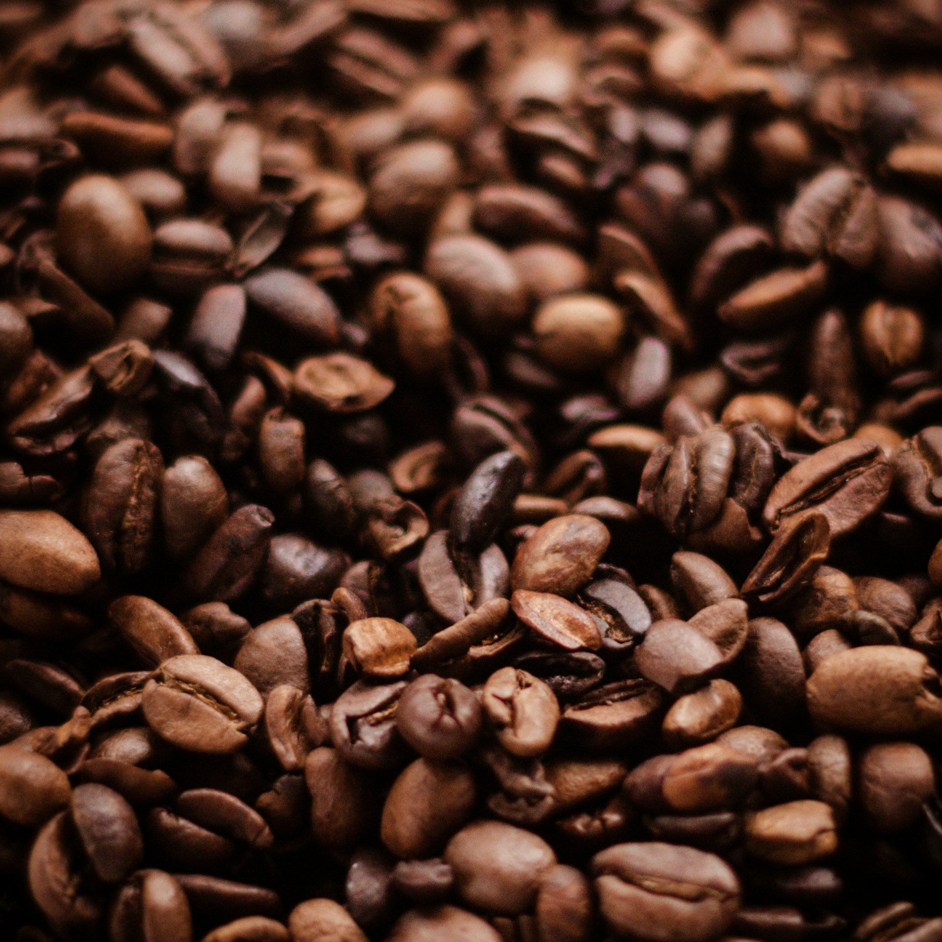 DECAF Mexiko Kaffee Entkoffeiniert - Mild, Milchschokolade