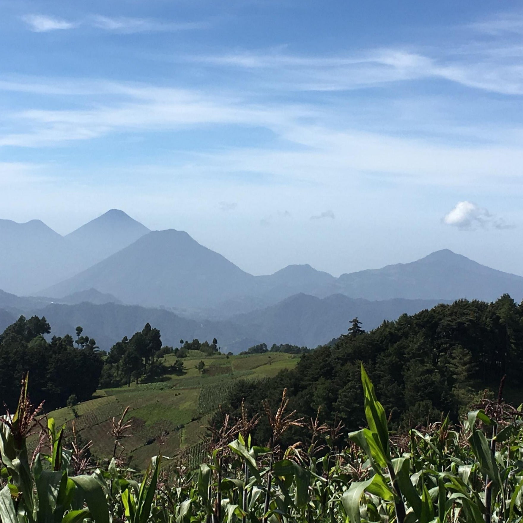 GUATEMALA Kaffee - Mittelkräftig, Karamell, Pekannuss, Nougat