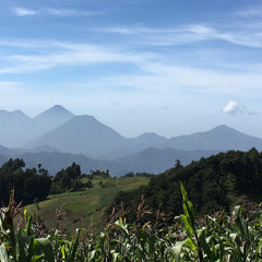 GUATEMALA Kaffee - Mittelkräftig, Karamell, Pekannuss, Nougat