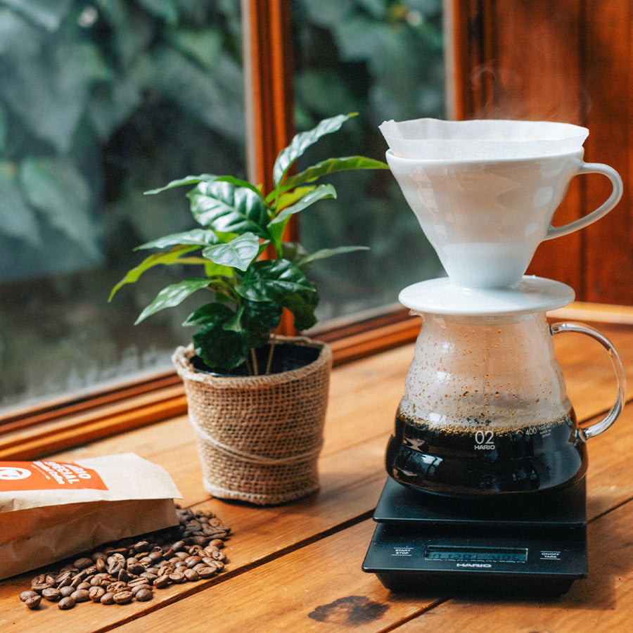 Hario V60 Coffee Dripper Filter aus Porzellan Gr. 02, weiß - B-Ware (neu, unbenutzt)