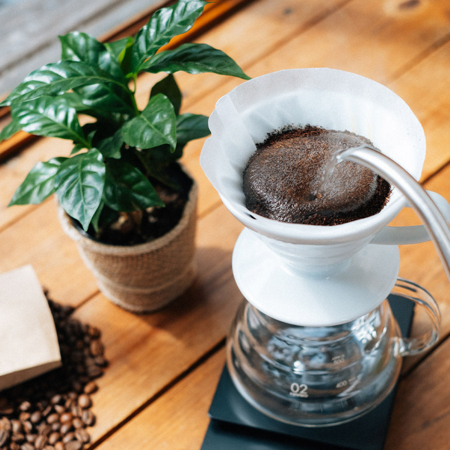 Hario V60 Coffee Dripper Filter aus Porzellan Gr. 02, weiß - B-Ware (neu, unbenutzt)