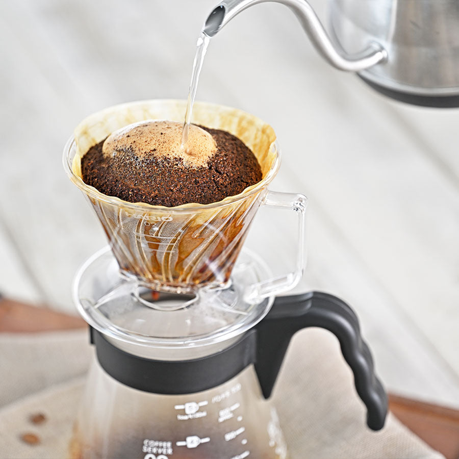 Hario Pegasus Dripper Handfilter Clear