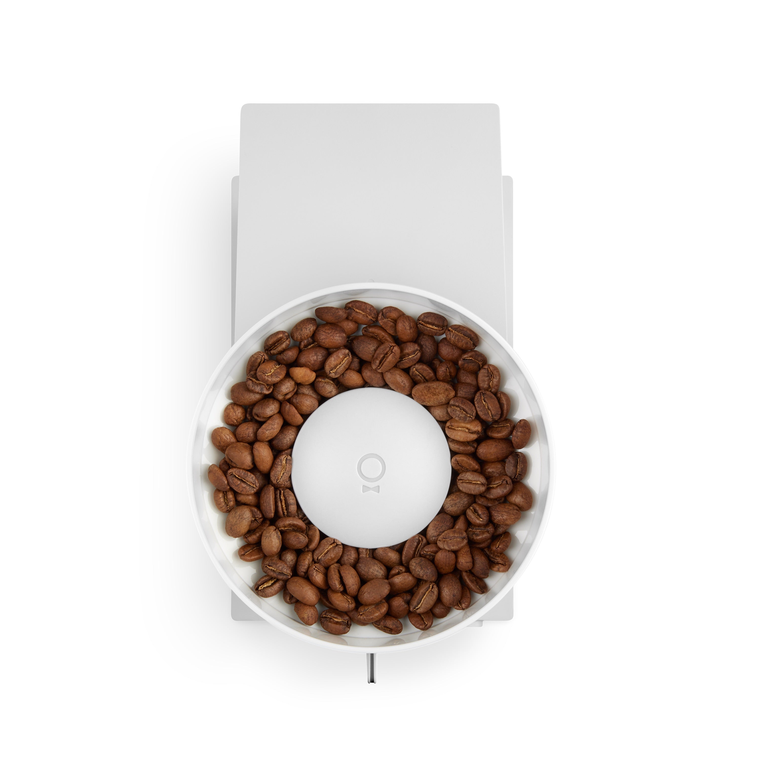 Fellow Opus Grinder elektrische Kaffeemühle